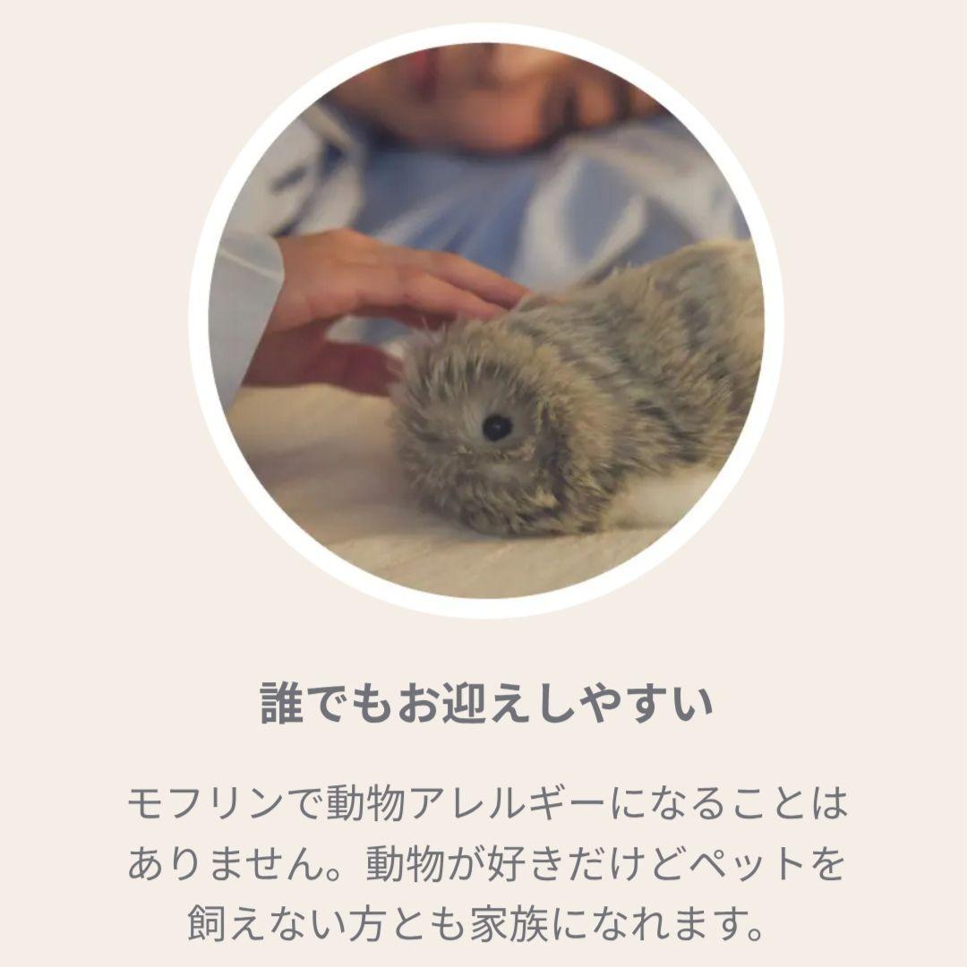 ◆限定お値下げ◆24時間内発送【未開封新品】AIペット モフリン-Moflin-