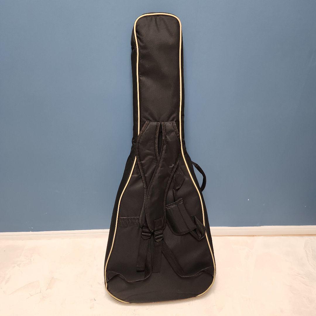 【未使用品】 キャッツアイ アコースティック・ギター カバー付き CE55T-K