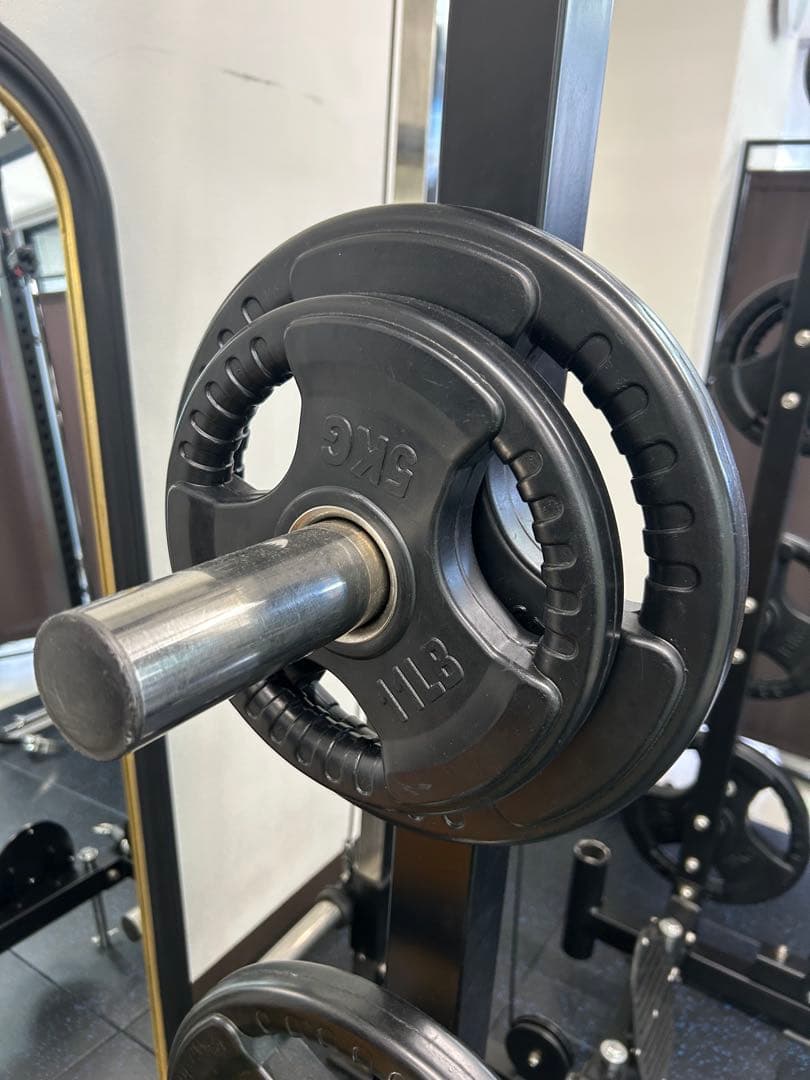 EVOLGEAR エヴォルギア フォールディングパワーラックEVPR-181