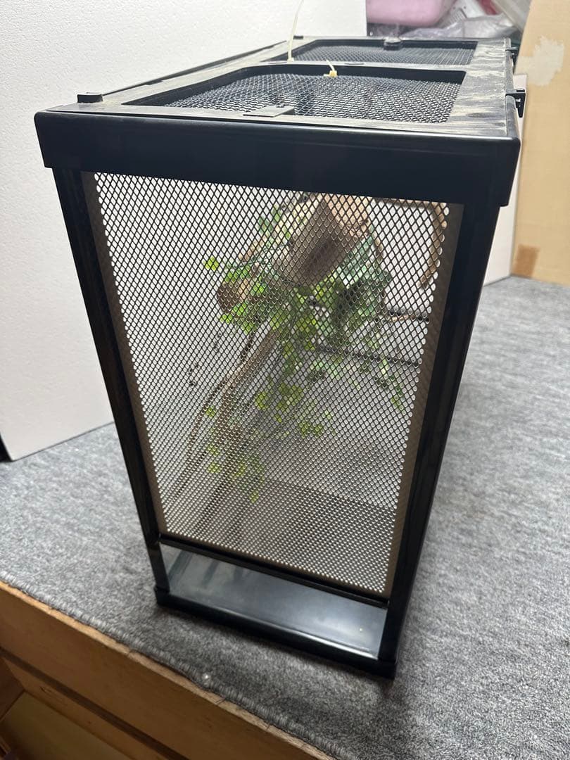 引き取り限定 爬虫類ケージセット とケージ2個