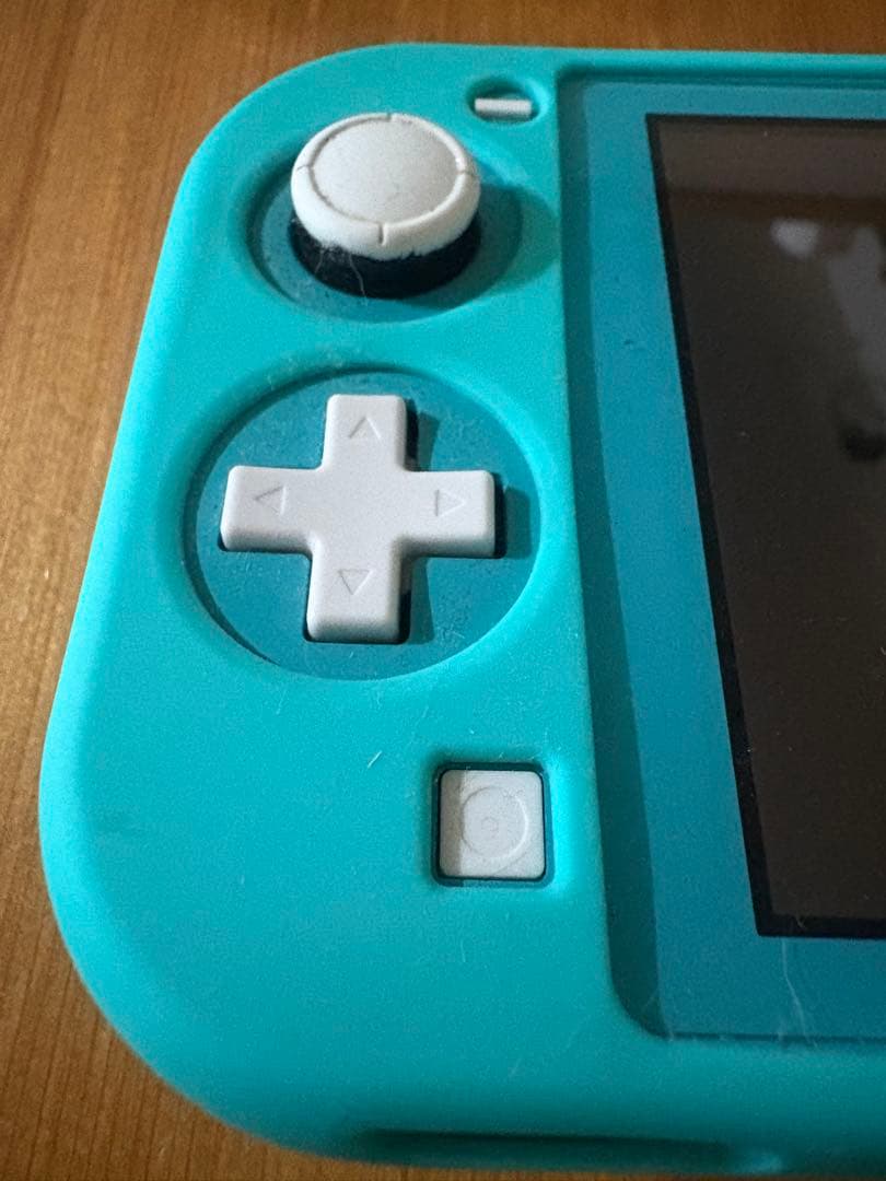 【動作確認済】ニンテンドーSwitchライト本体　micro sd 256GB