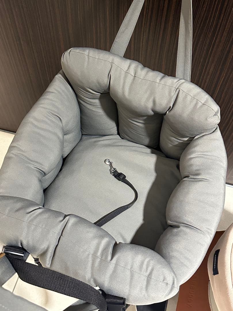 エアバギー ドーム3 レギュラー チェダー