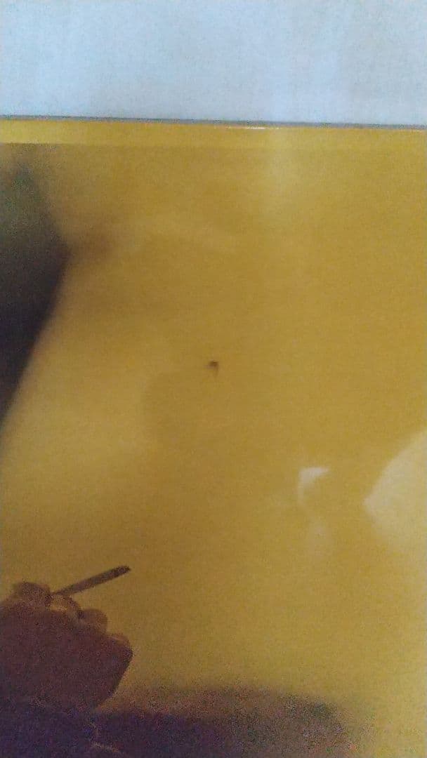 矢沢永吉 木製パネル ポスター