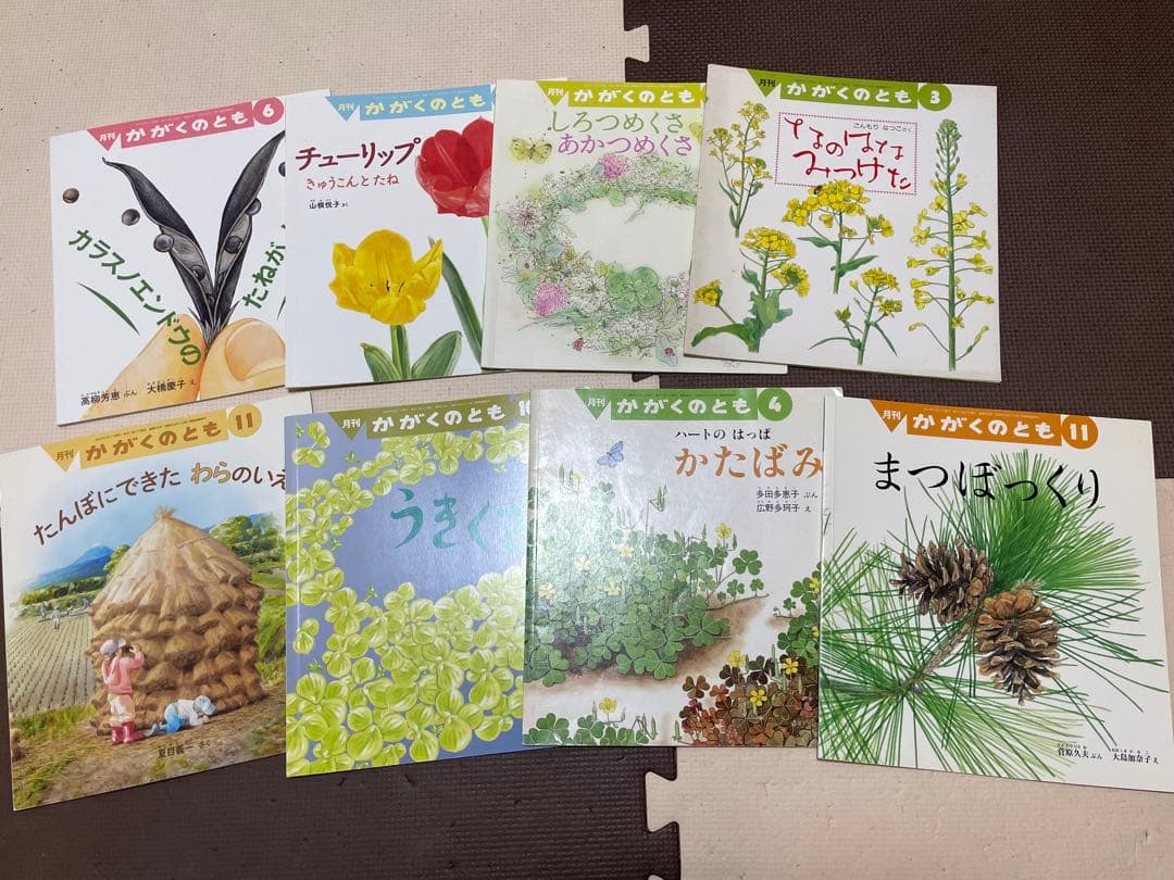 確認用　かがくのとも　植物の本