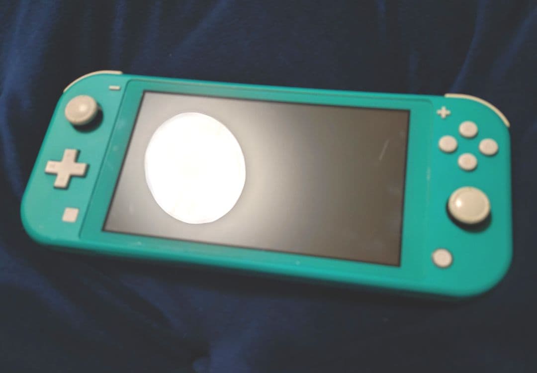 Switch ライト 本体のみ