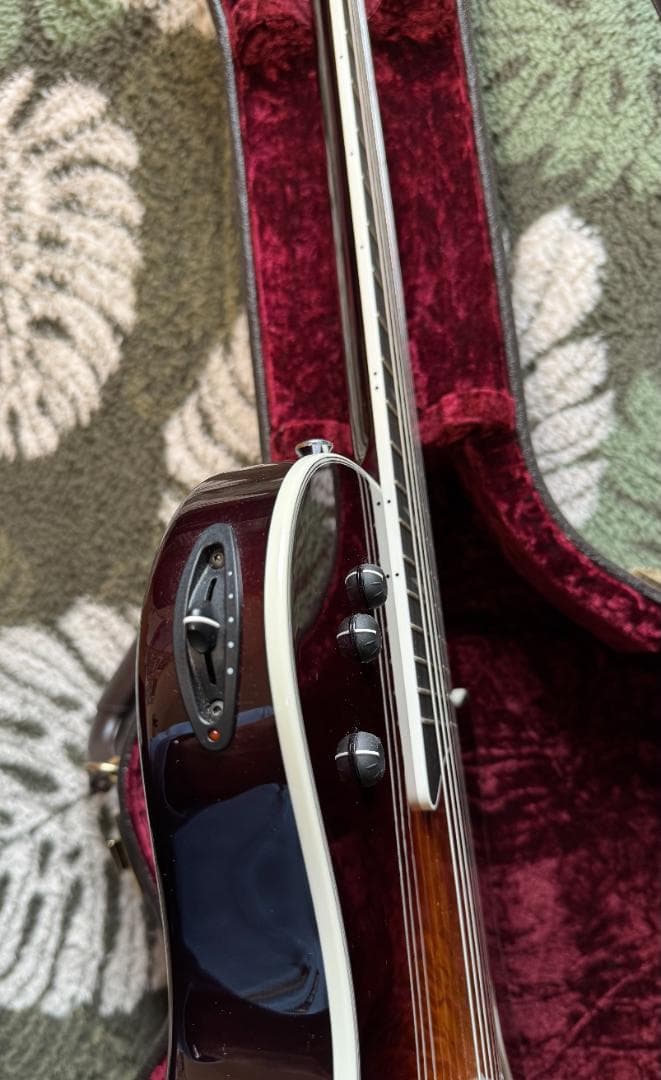 Taylor エレアコ T5 Pro TB