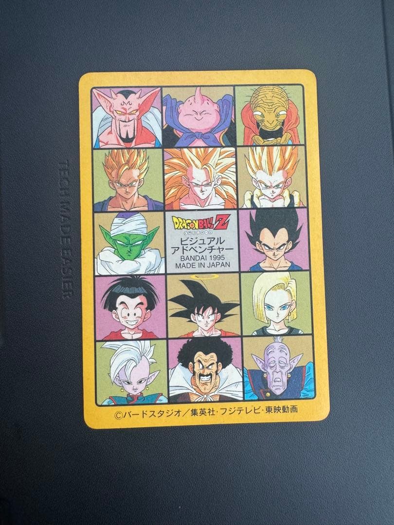 ドラゴンボール　カードダス　ビジュアルアドベンチャー　No.258　グッドバイ