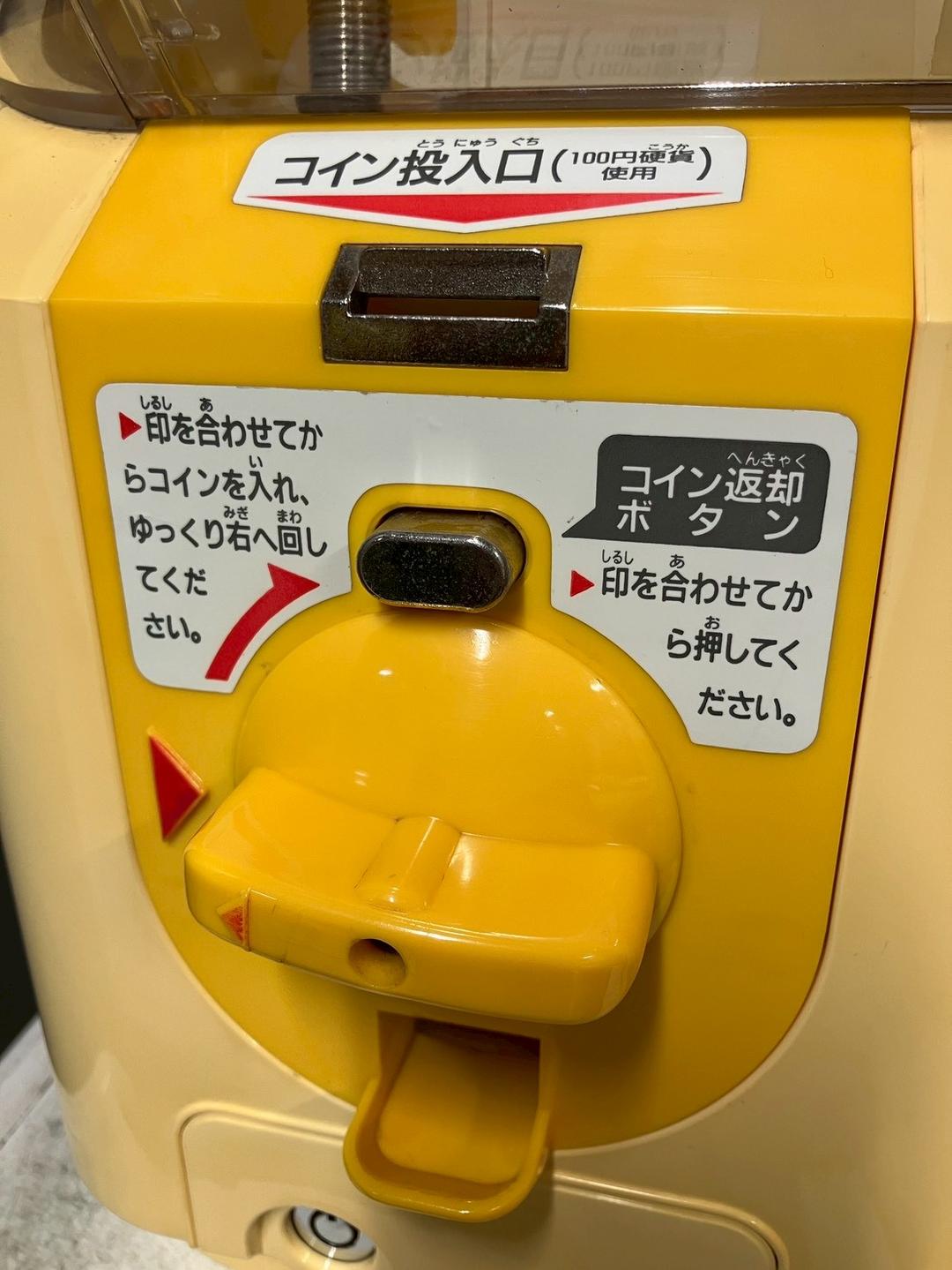 【うさうさ】特価品SHO-008C 【ユージン】スリムボーイハーフサイズ