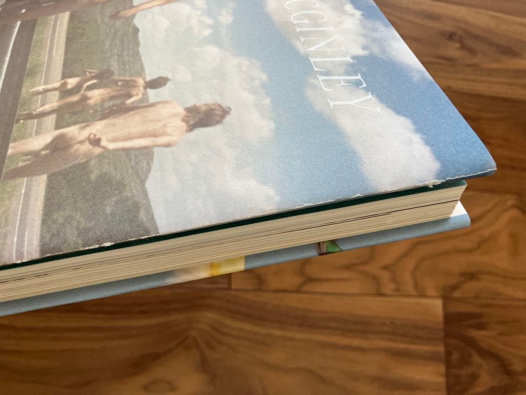 RYAN MCGINLEY 2冊