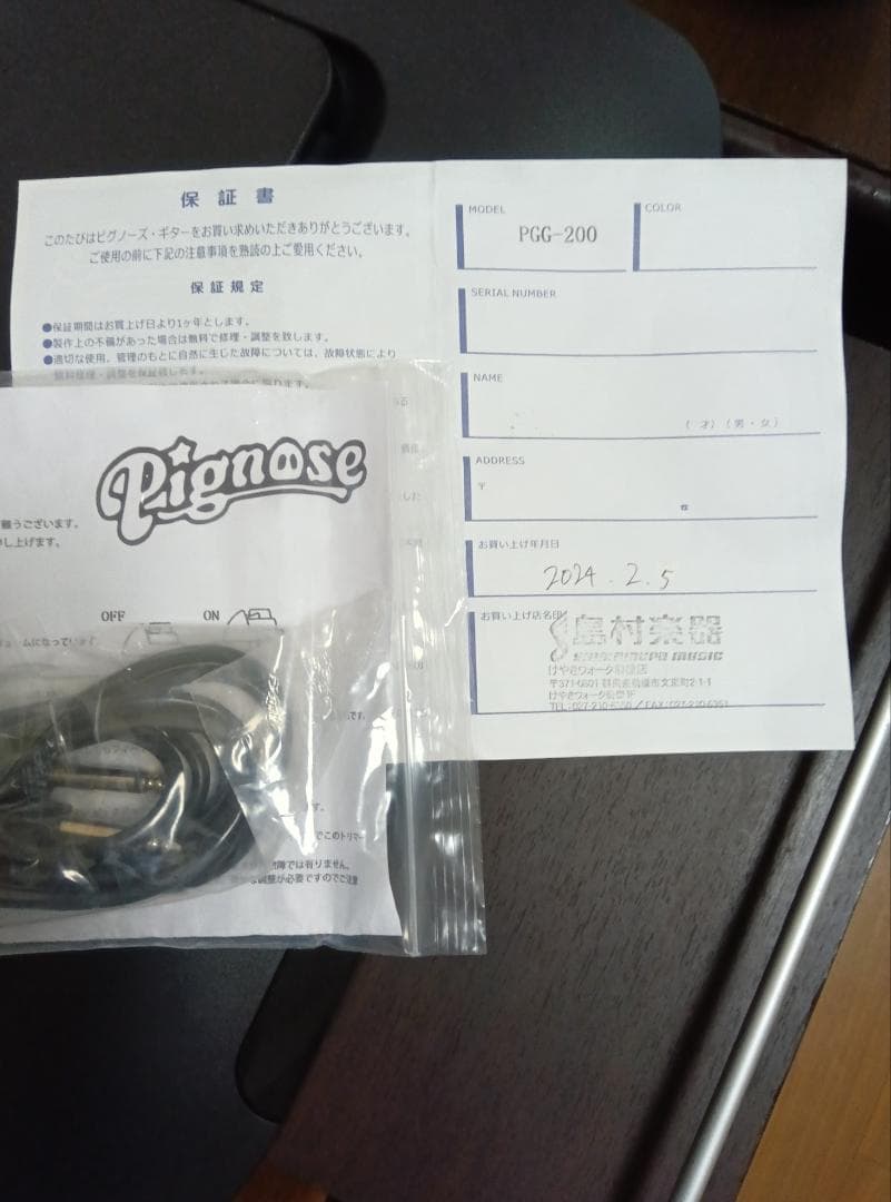 Pignose PGG-200 スピーカー内蔵エレキギター
