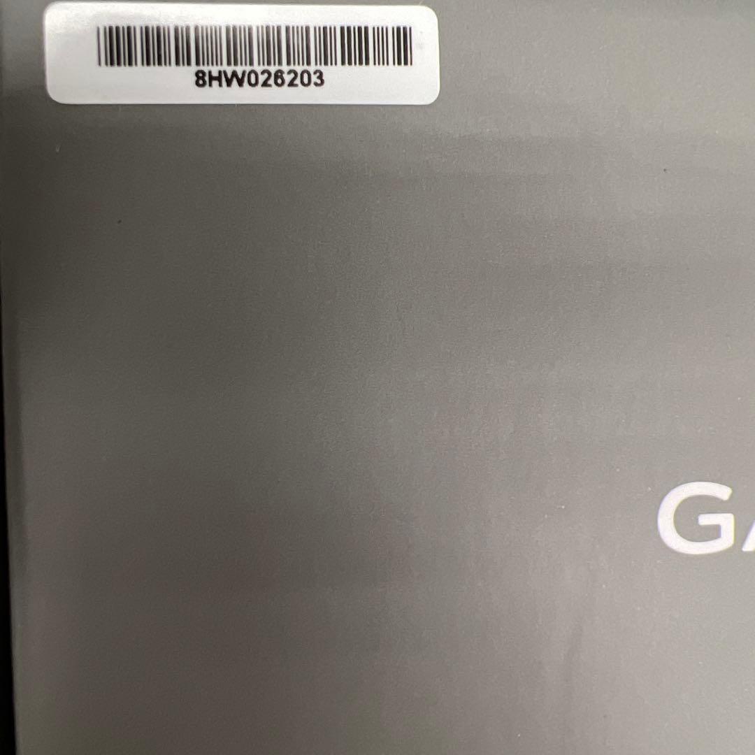 509425　ガーミン(GARMIN) Approach Z30距離計 ゴルフ