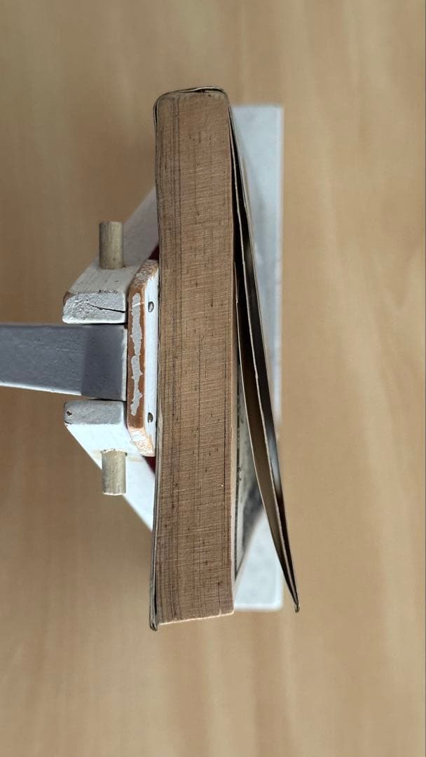 呪いのかつら　ヘア・ウィッグ　いけうち誠一