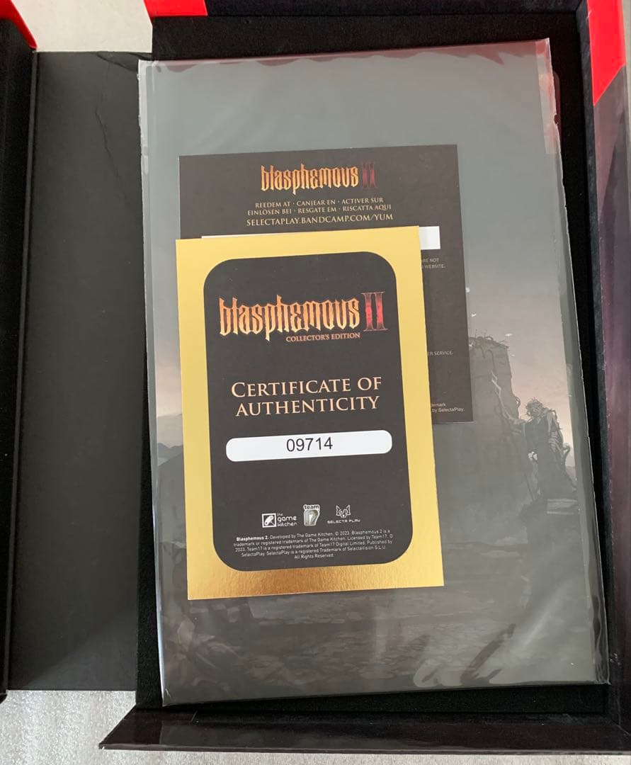 (未使用) BlasphemousII Collector’s Edition