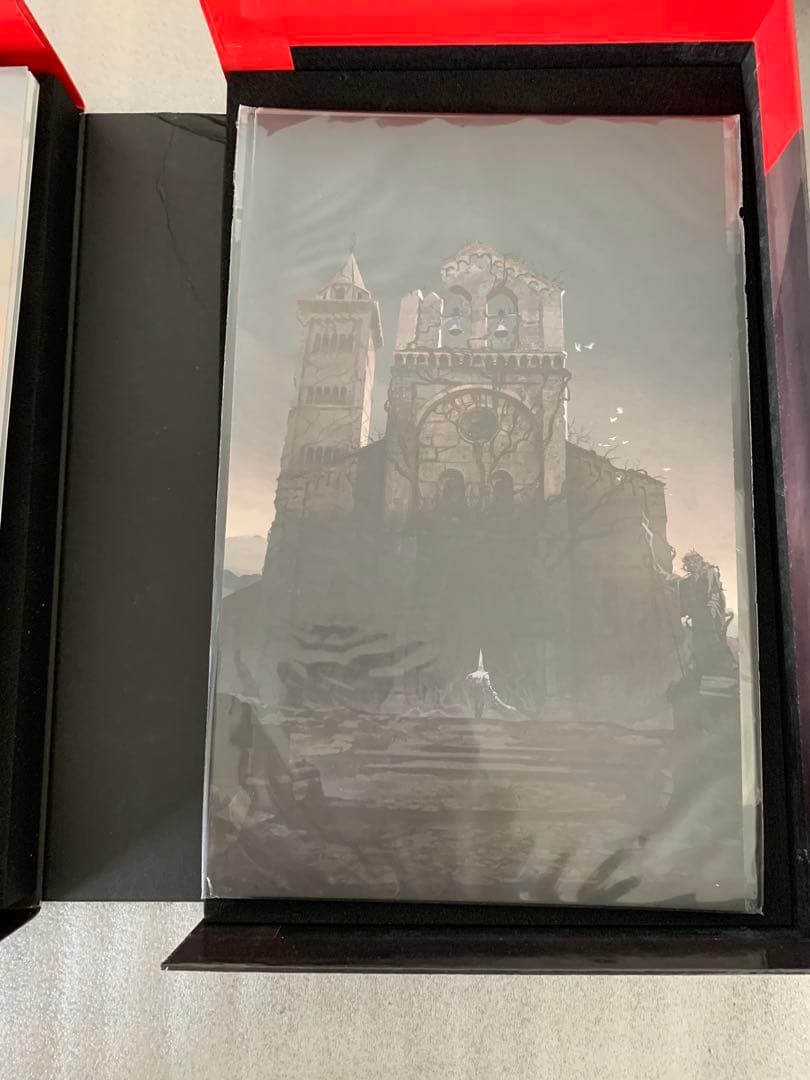 (未使用) BlasphemousII Collector’s Edition