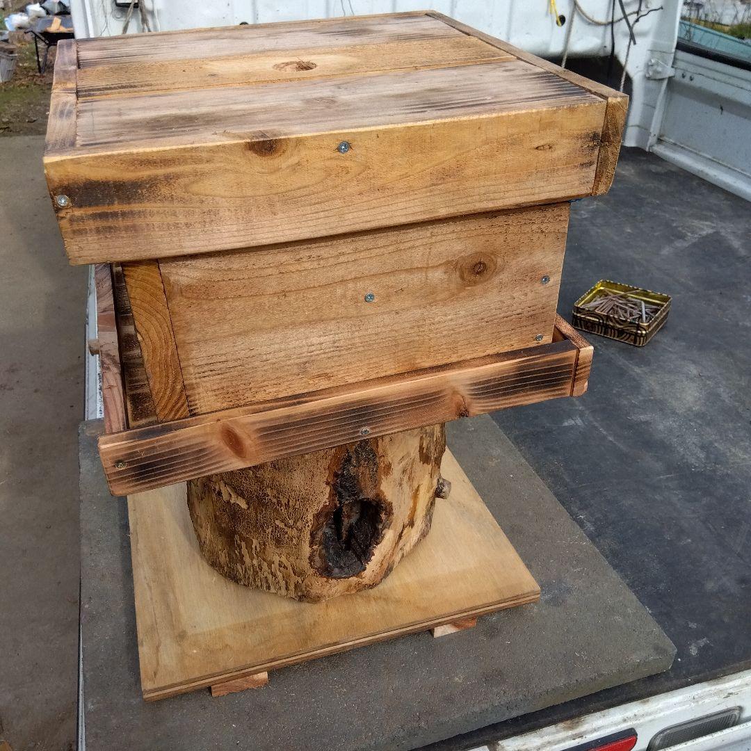 天然木 昆虫採集道具 日本みつばち誘引待ち箱のベース