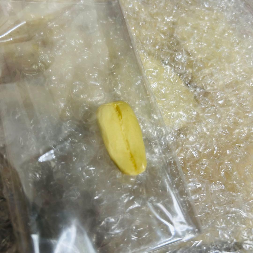 イノウエアーツ 初代ゴジラ 50cm キャスト版 水爆大怪獣東京上陸