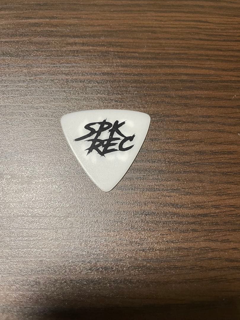 GLAY HISASHI ピックAMEX