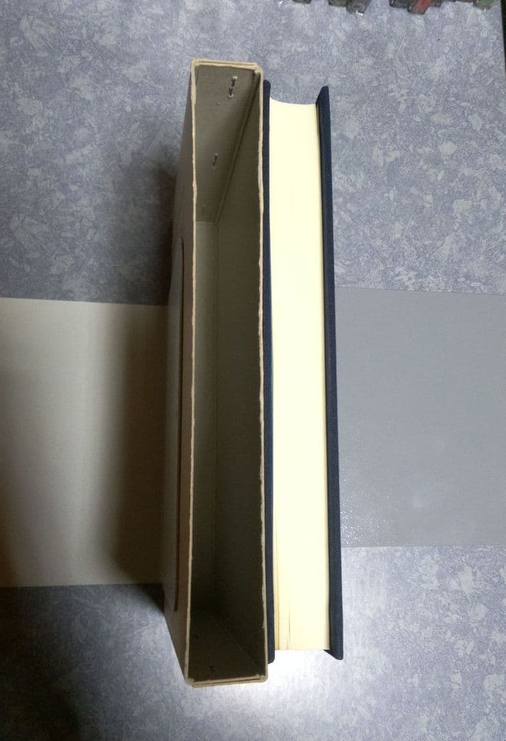 易学病占　加藤大岳　紀元書房版