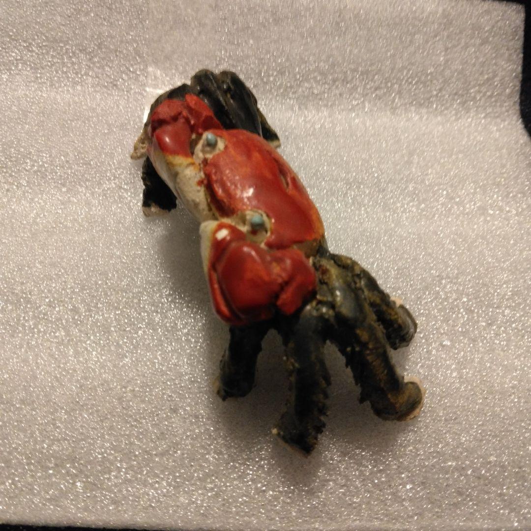 古い蟹　水月焼　楽山　二六