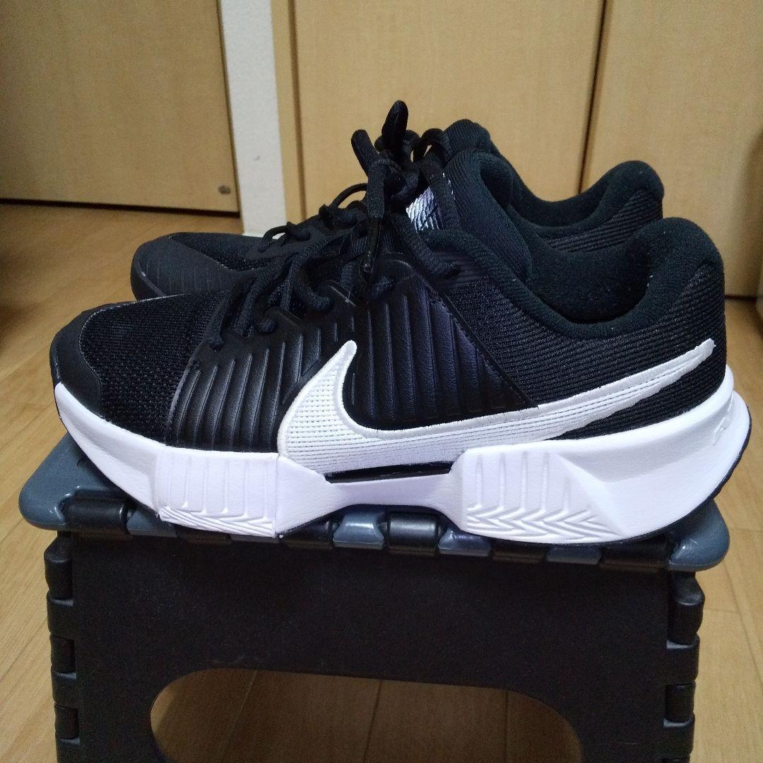 ナイキコート GP チャレンジ PRO メンズ テニス ハードコート用シューズ