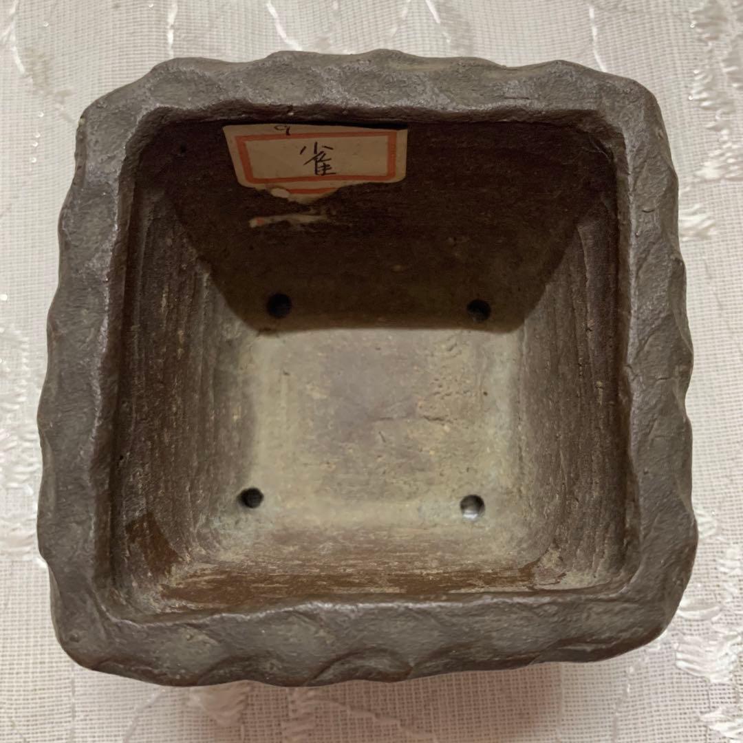 盆栽鉢　雀　正方　小さめ鉢
