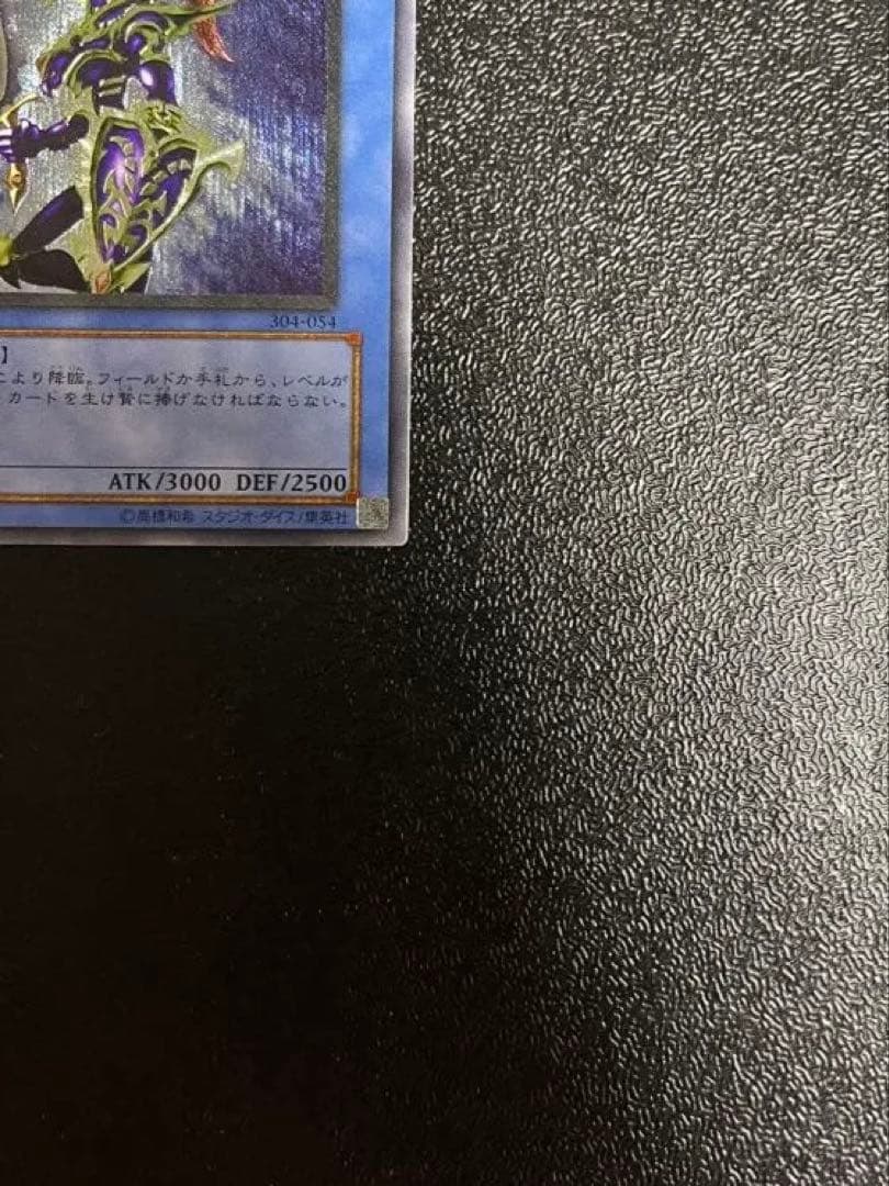 ⭐️最終値下げ⭐️☆レリーフ☆カオス•ソルジャー