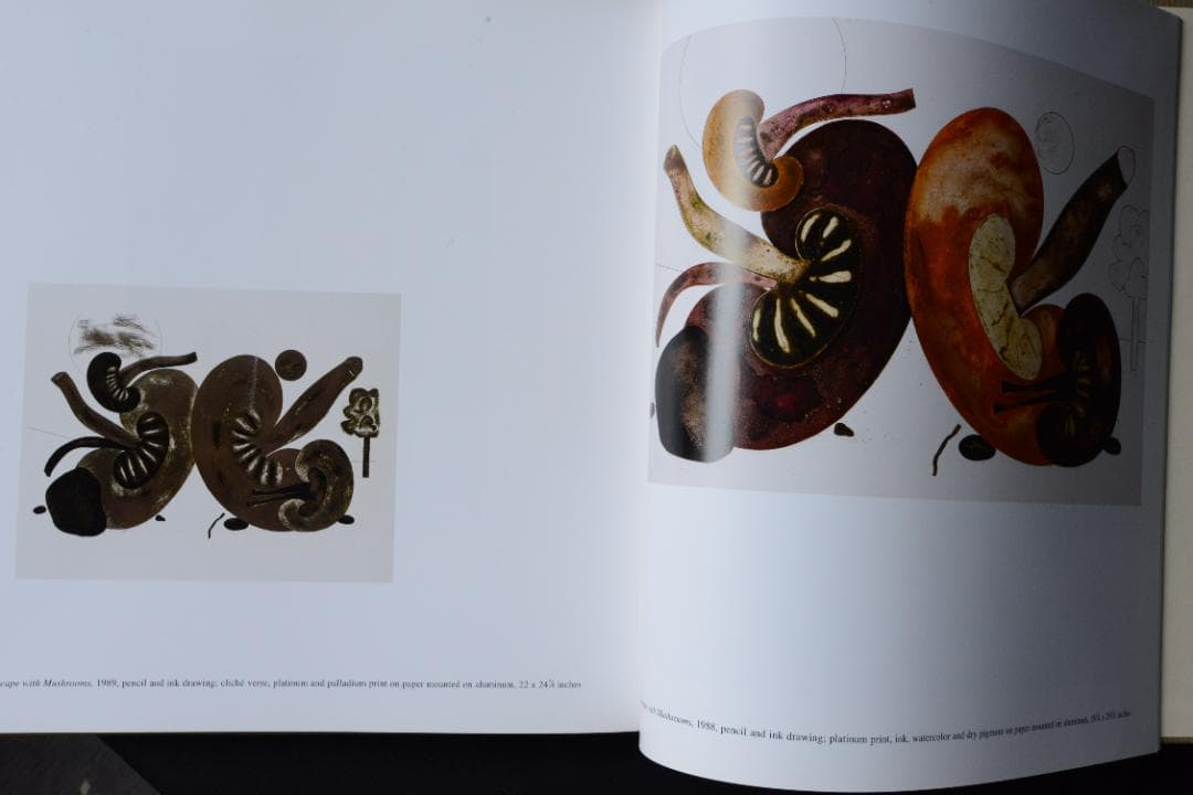 【Drawings：Irving Penn】Irving Penn1999年初版