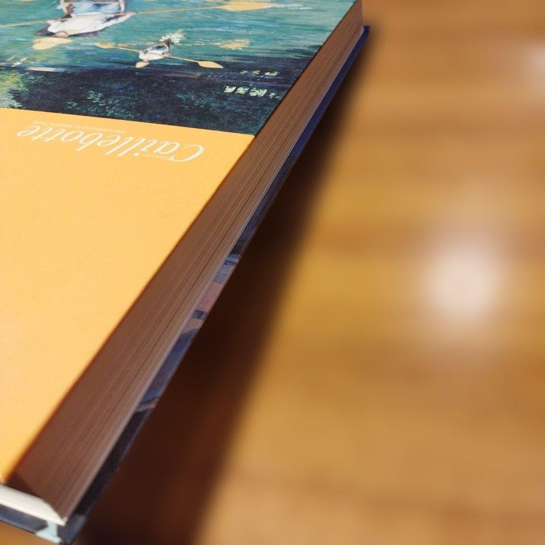 カイユボット　都市の印象派 　2013年 275P HC