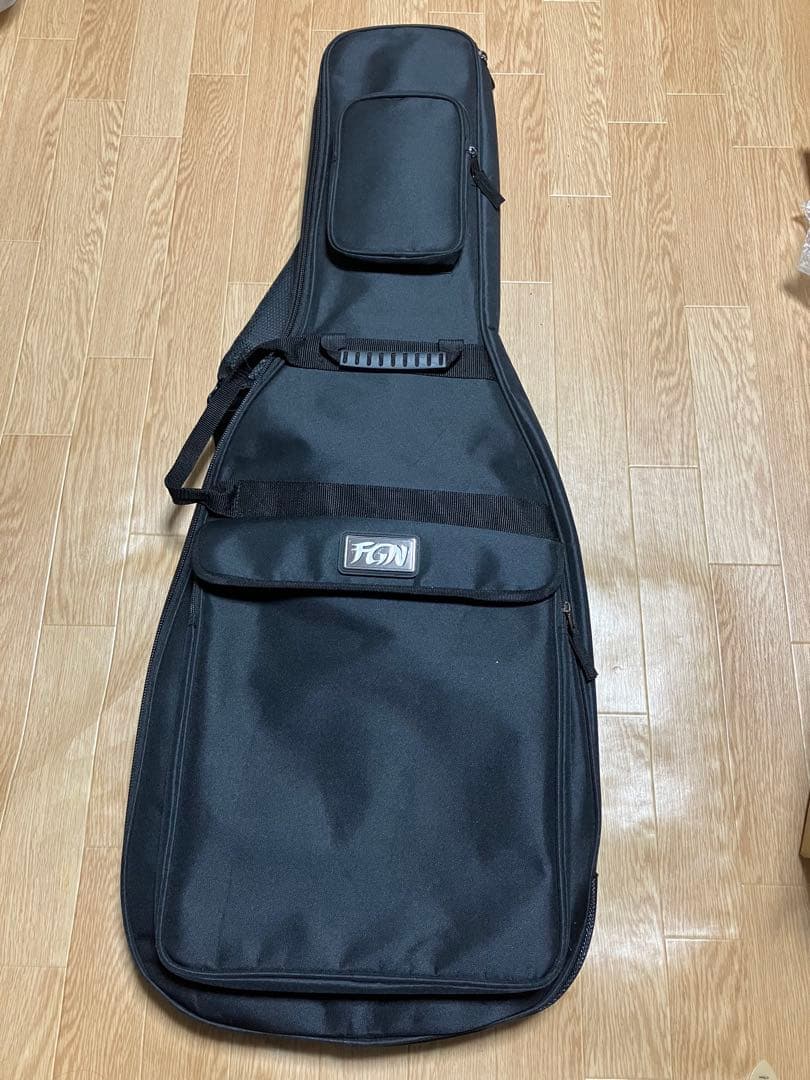 ギター FUJIGEN NST100 RAL OLP
