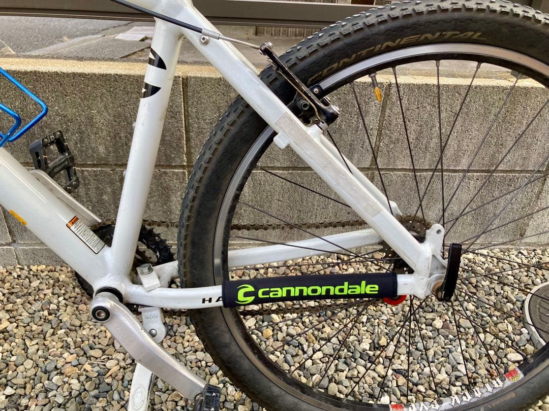 レアUSA製　キャノンデール　F300 Mサイズ　bluelug ブルーラグ