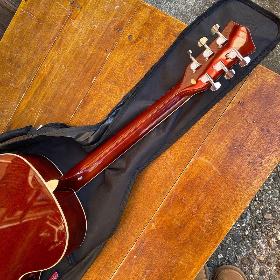 PLAYTECH RG10 エレクトリックリゾネーターギター ソフトケース付き