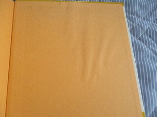 希少 あずかったかげぼうし 数学研究所 絵物語シリーズ５ 川口志保子/大橋歩