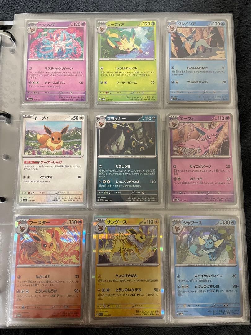 ポケモンカード　引退品　ブイズのみ　ファイル付き