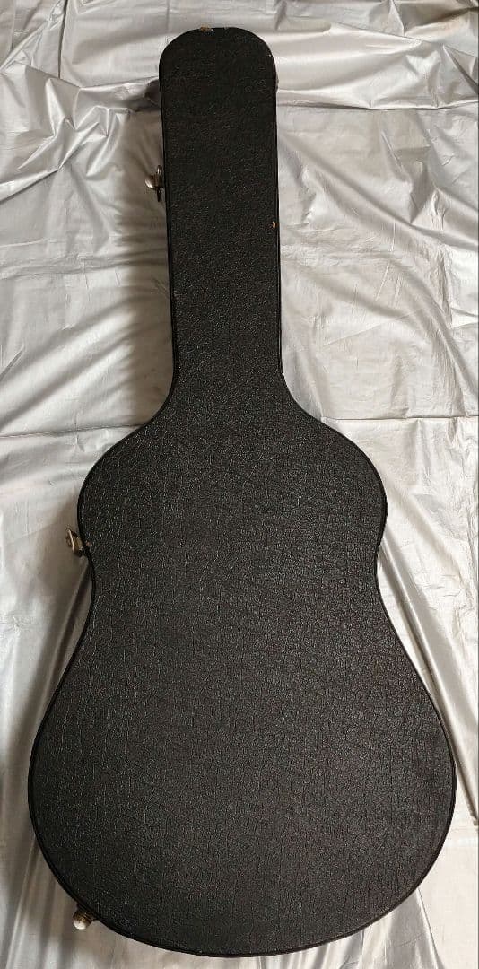 エレアコ Legend Powerd by ARIA LJ-15EN