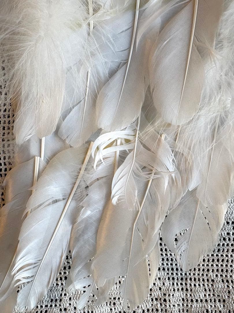 ♡ ベルギーアンティーク　エンジェルウィング　天使の羽　スモールサイズ　マヌカン