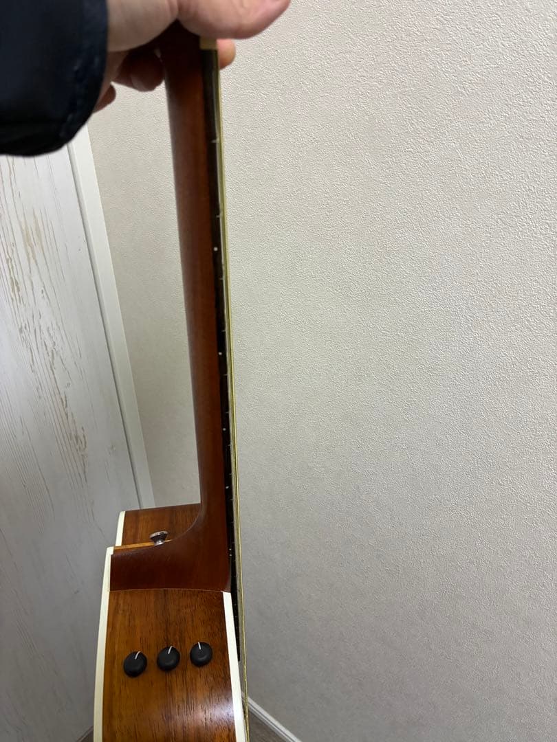 taylor 214ce-K ティラ