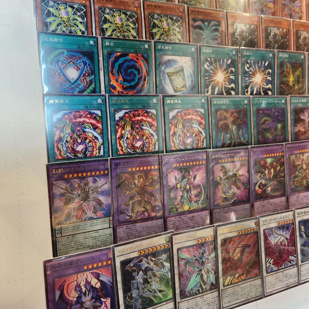 山屋　即日発送　捕食植物デッキ　構築済みデッキ　まとめ売り