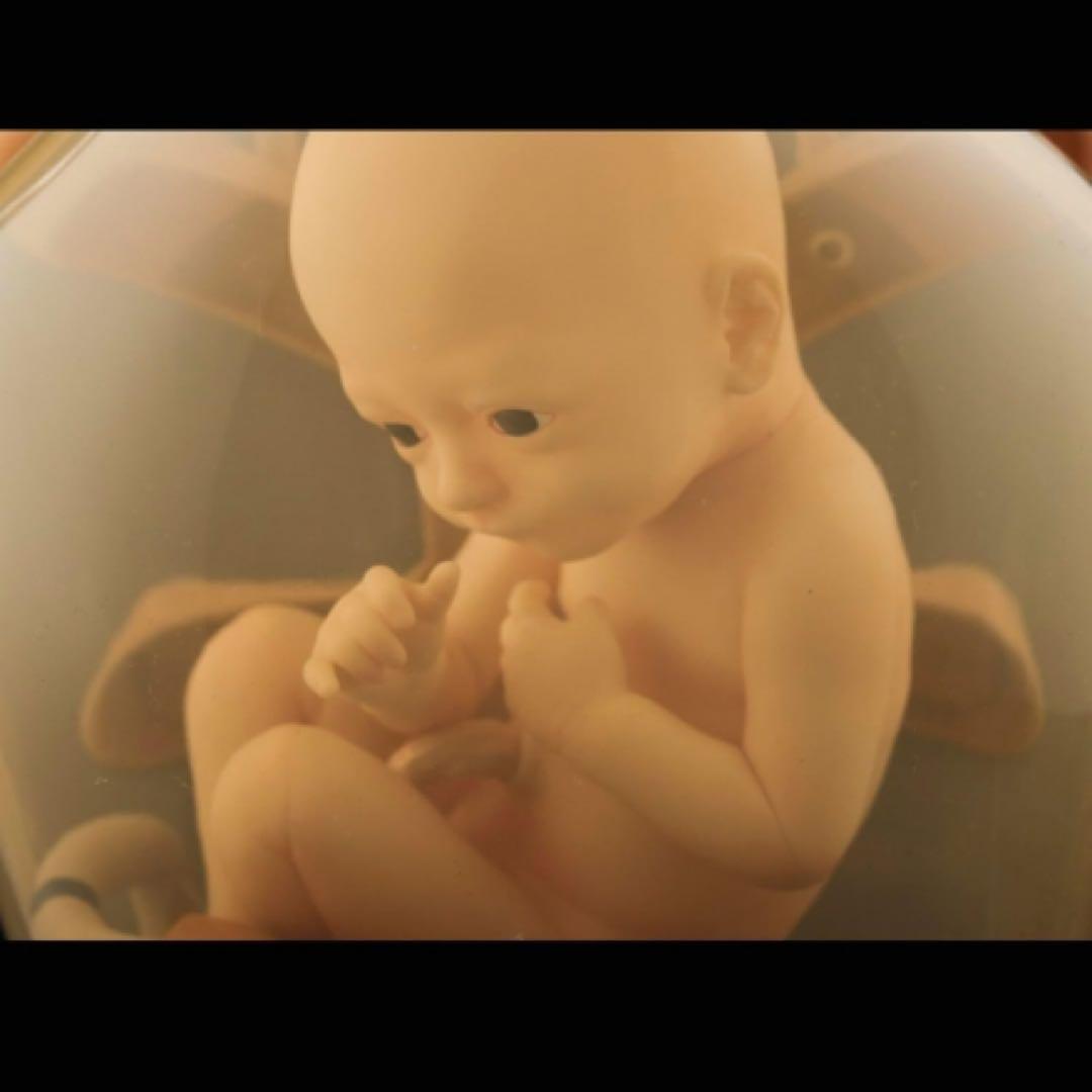 デスストランディングBBPOD with ブリッジベイビー 1/1Likever