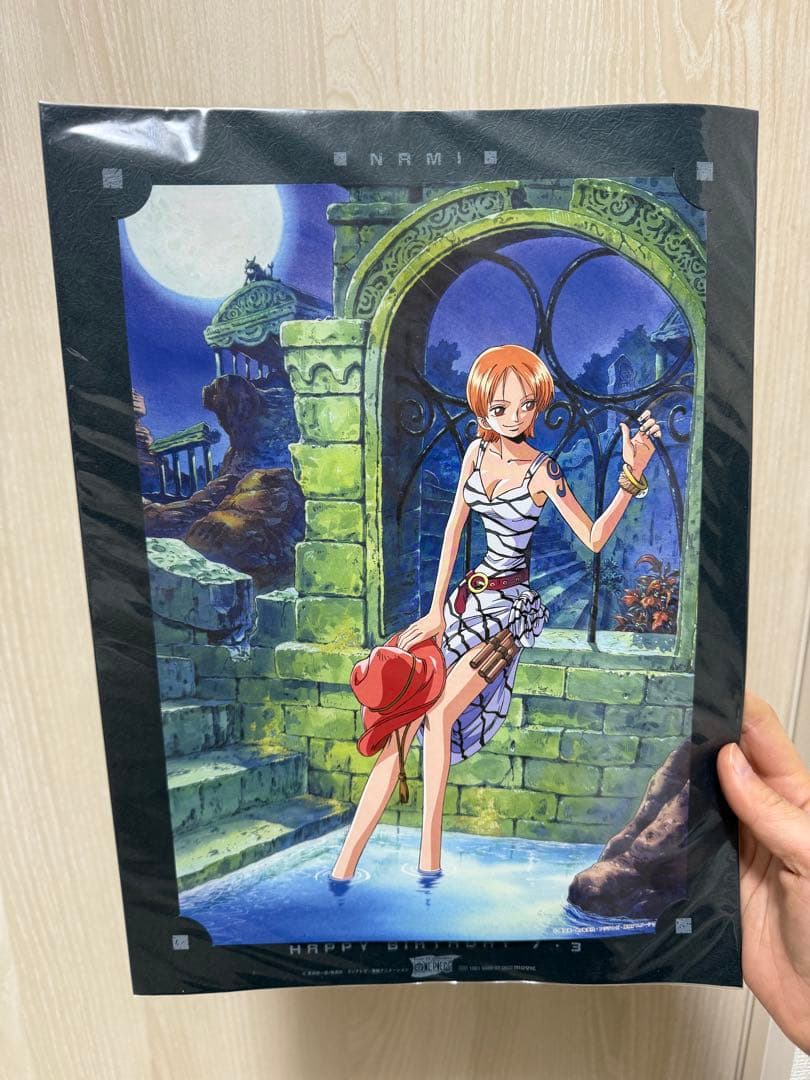 ワンピース　ポートフォリオ ルフィ海賊団　ナミ　ポートレート