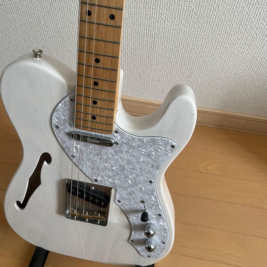 FGNフジゲン テレキャスターシンライン NTL 10M AHT - WB/01