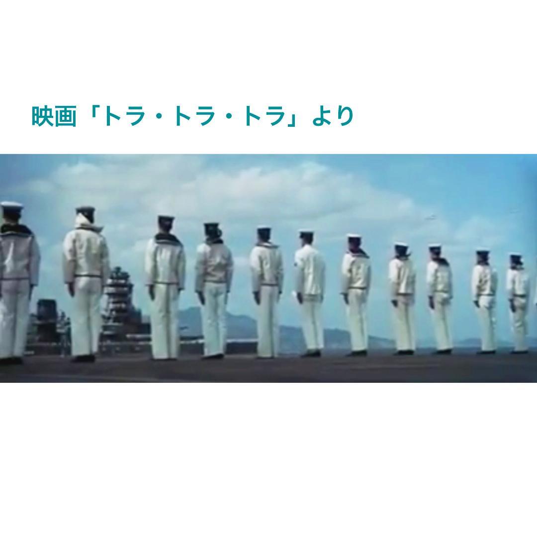 戦艦大和 ジオラマ 1/250 艦船模型 透明ケース付 プラモデルではありません