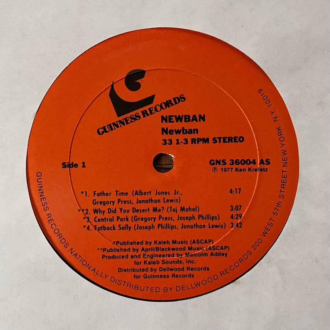 NEWBAN - NEWBAN（S/T）LP レコード