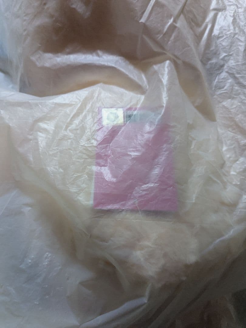 SKZOO PLUSH テディベア FoxI.Ny StrayKids