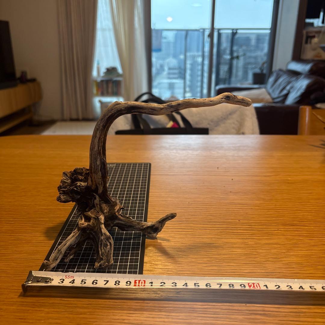 【早い者勝ち】ADA流木　5本（まとめ買い500円引）