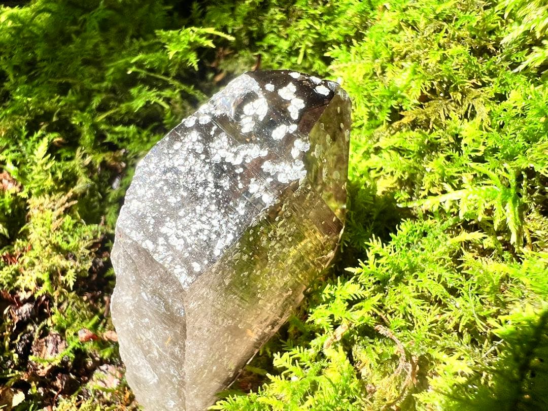 龍脈の精髄 煙水晶 スモーキークォーツ宝石質