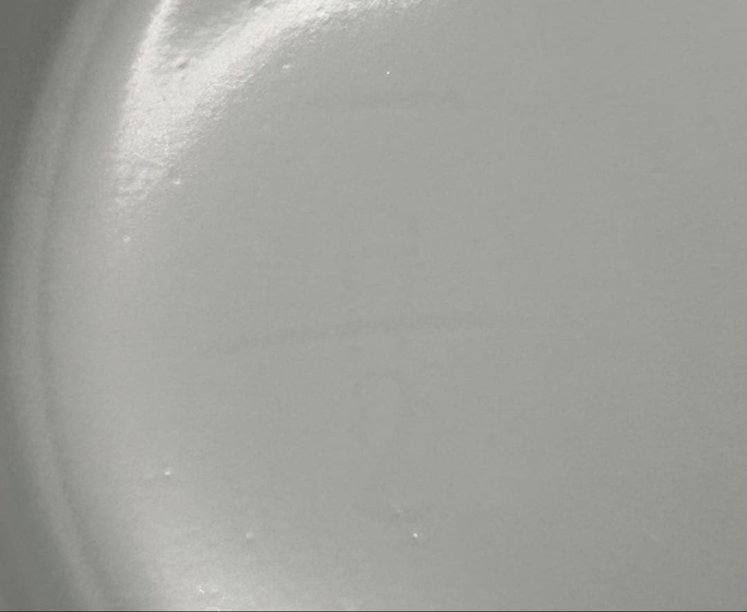 【希少品】樋口一星　白磁　牡丹　中鉢 6客