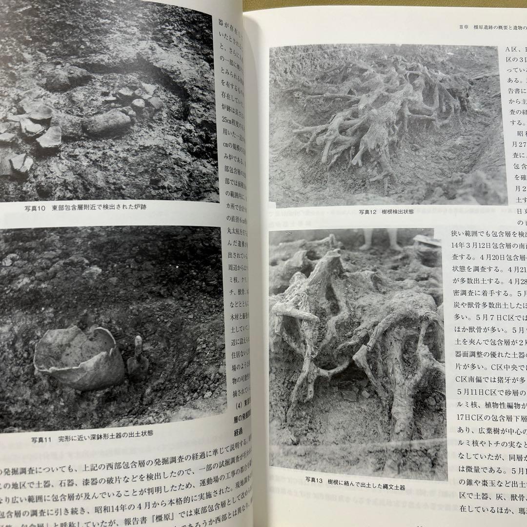 重要文化財 橿原遺跡出土品の研究(橿原考古学研究所研究成果第11冊)