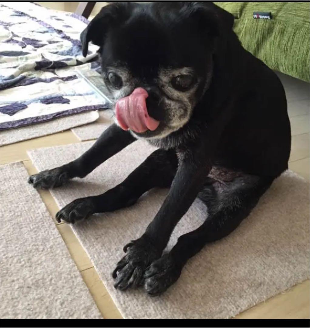 HANA♡HANA☆様宜しくお願い致します♡