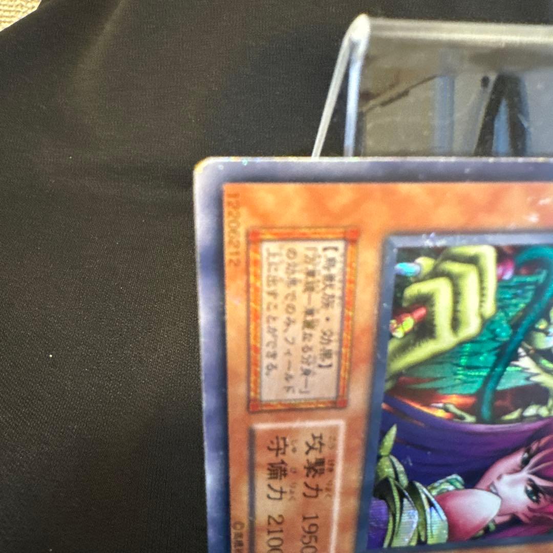 ハーピィ・レディ三姉妹 トレーディングカード 2枚セット