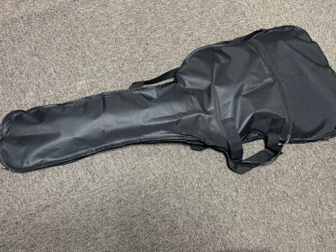 リッケンバッカー320タイプギター